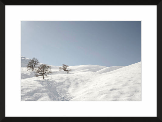 The French Alps I, 2017