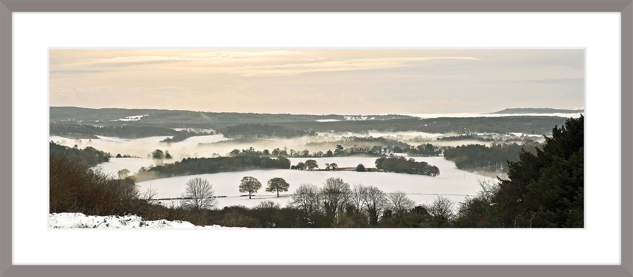 Surrey Hills in Winter