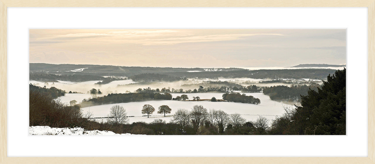Surrey Hills in Winter