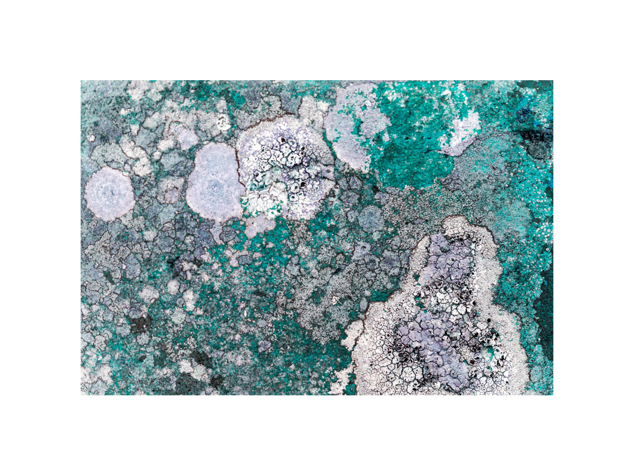 Patina and Decay, Turquoise I