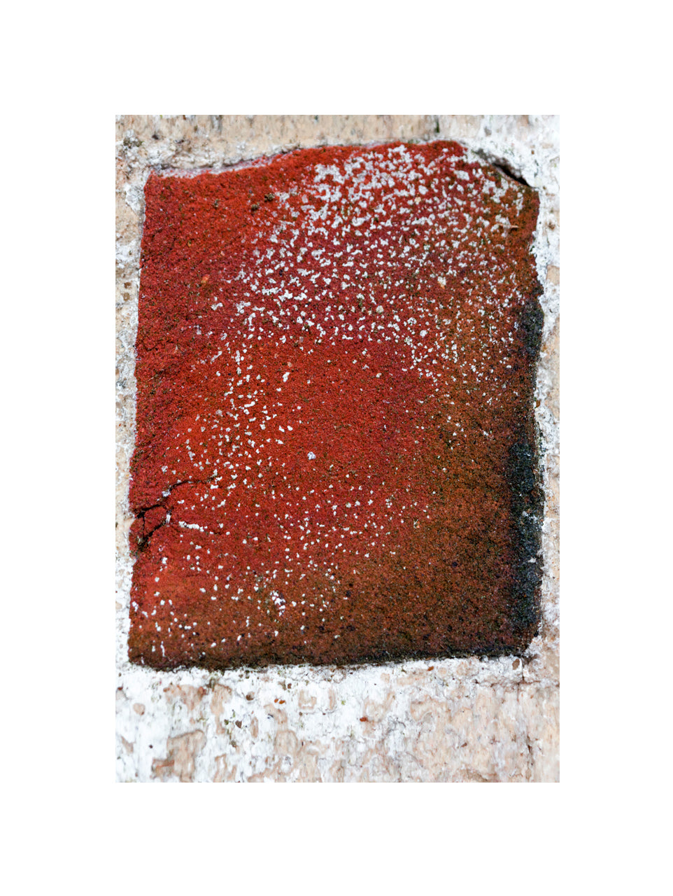 Patina and Decay, Red X