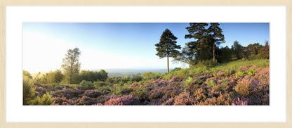 Blackdown II, 2009