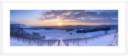 Denbies In Winter II, 2009