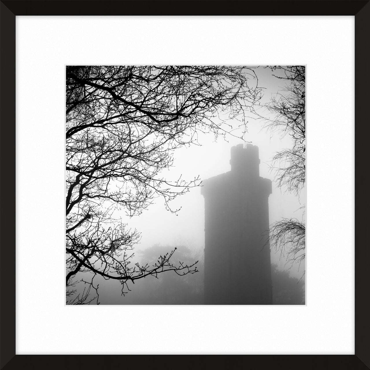 Leith Hill Tower, 2010