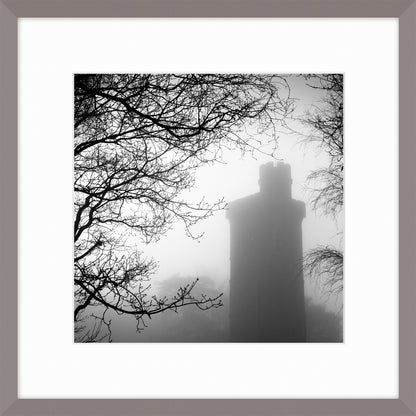 Leith Hill Tower, 2010