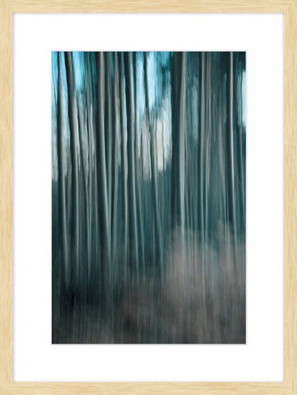 In the Forest I, 2011