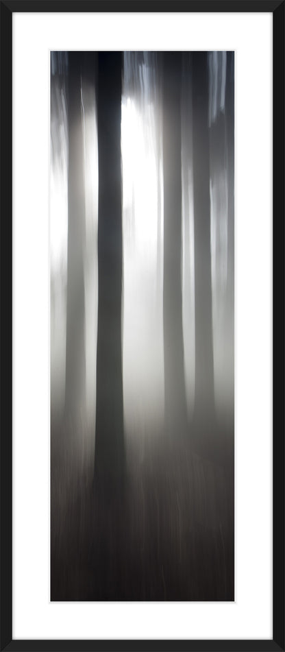 In the Forest IX, 2012
