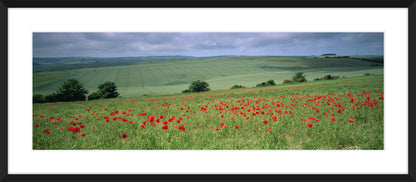 The South Downs II, 2004