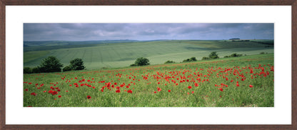 The South Downs II, 2004