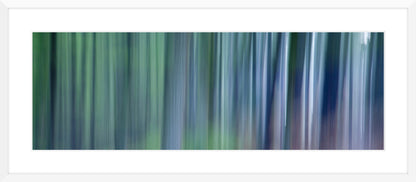 In the Forest XVII, 2012