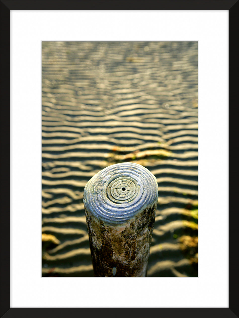 West Wittering, 2016