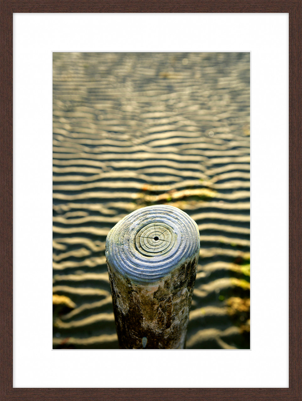 West Wittering, 2016