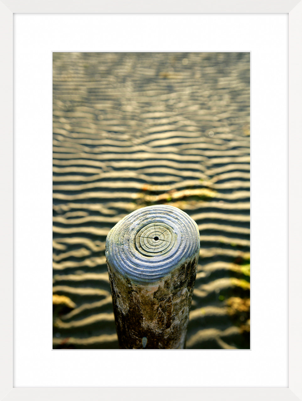 West Wittering, 2016