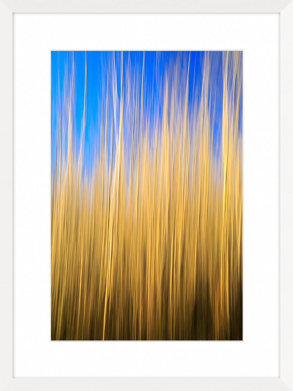 Grasses, 2015